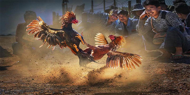 88 online chơi bắn cá đổi thưởng