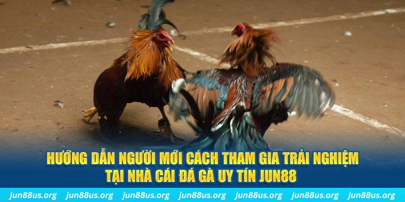 88 online CQ9 Điện Tử