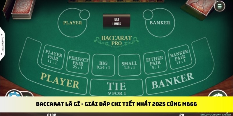 88 online gà chọi cu cần