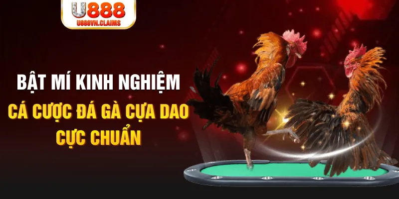 88 online tỷ lệ cá cược châu á là gì