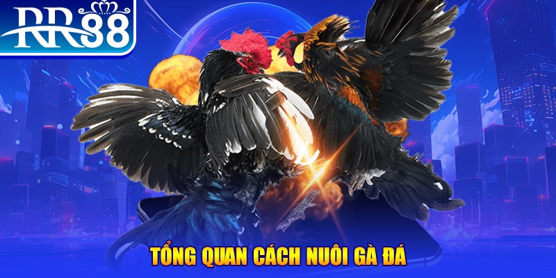 88 online VA Điện Tử