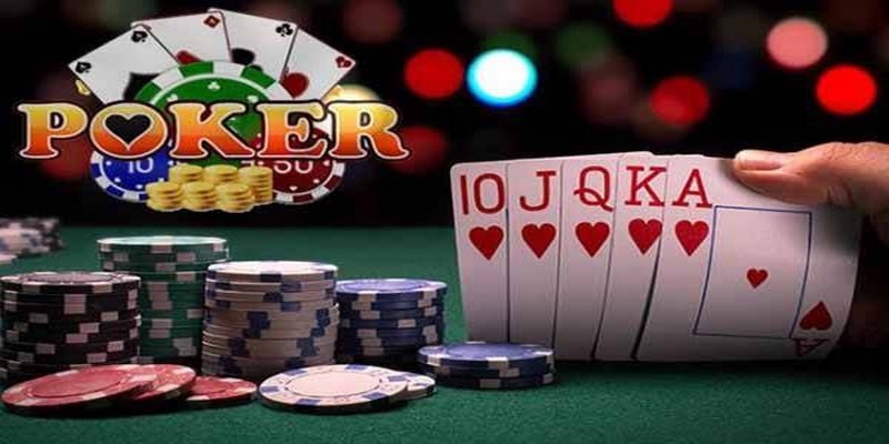 88 online đá gà thomo trực tiếp