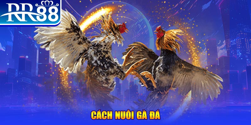 88 online xổ số an giang