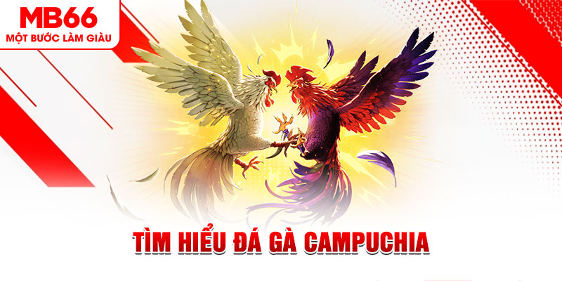 88 online đá gà trực tiếp