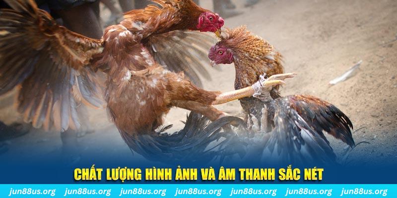 88 online đăng nhập roulette live