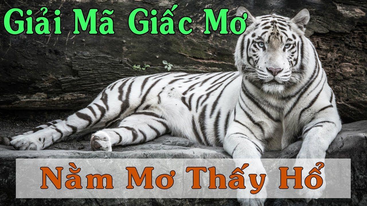 88 online WM Trực Tuyến
