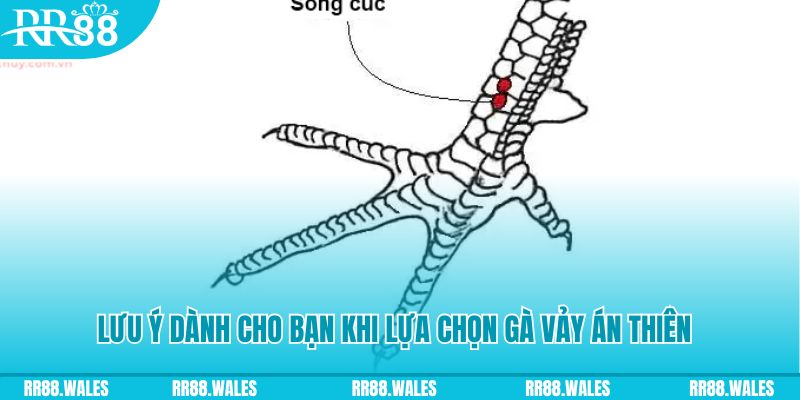 88 online xổ số đồng nai