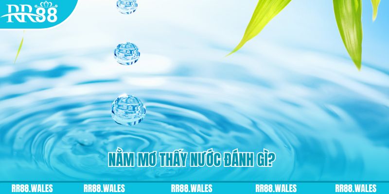 88 online TP Bắn cá