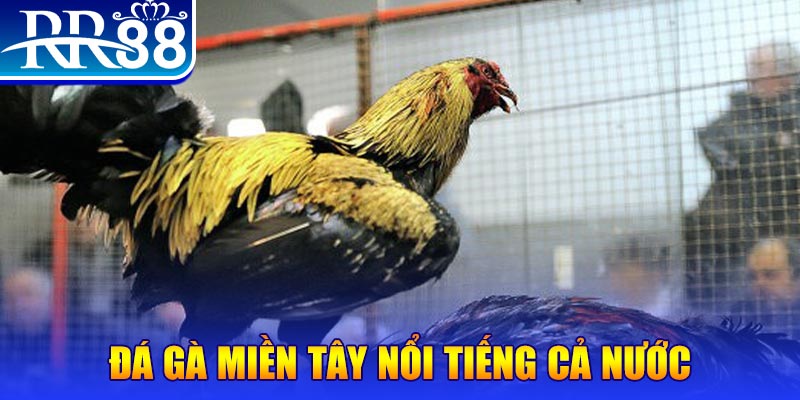88 online JILI Game Bài 3d