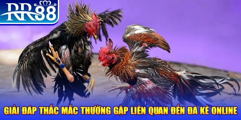 88 online slot machine là gì