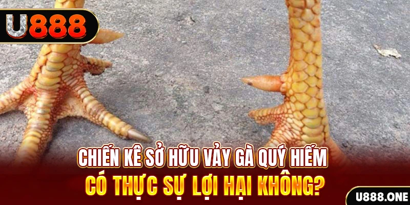 88 online nohu .mx nổ hủ là gì