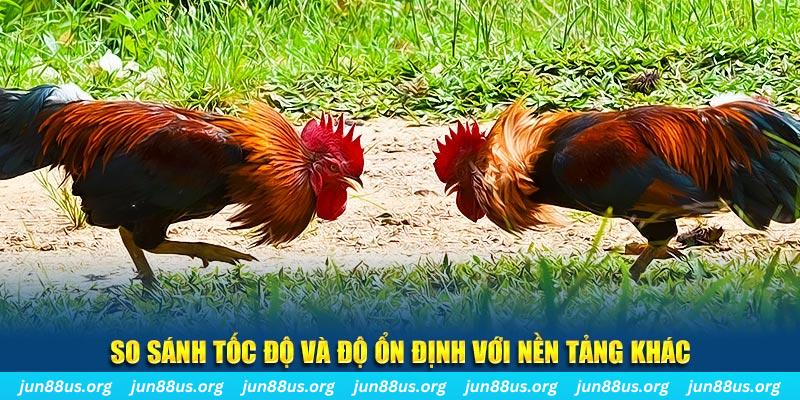 88 online đá gà hôm nay