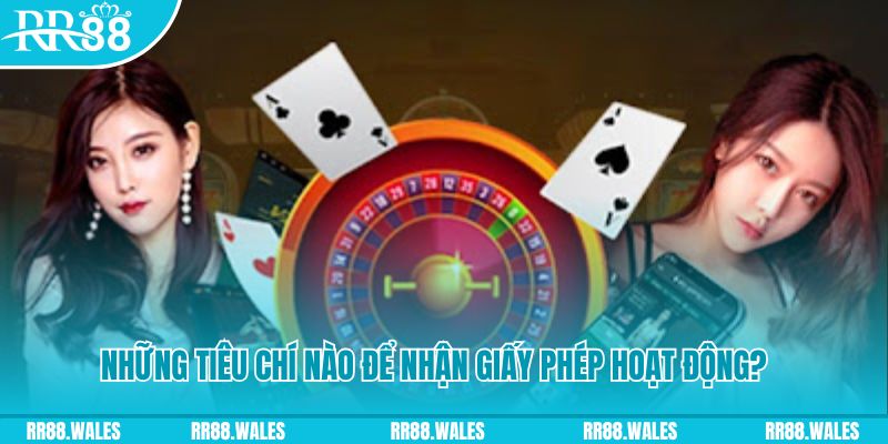 88 online hơn cả bạn bè