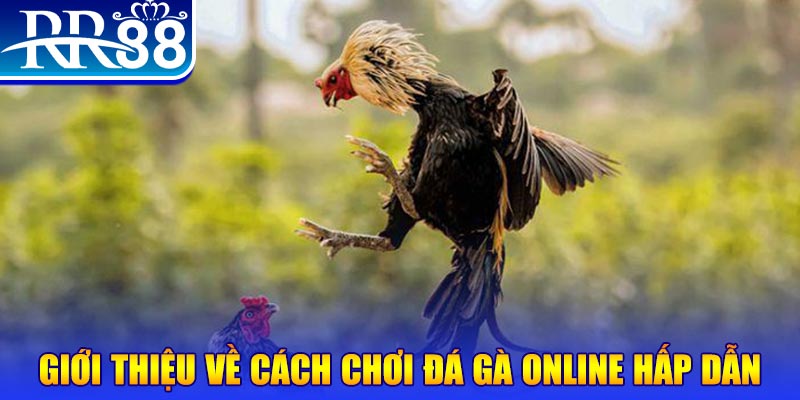 88 online game nổ hũ rút tiền mặt là gì