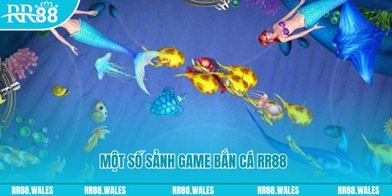 88 online đăng nhập mậu binh uy tín
