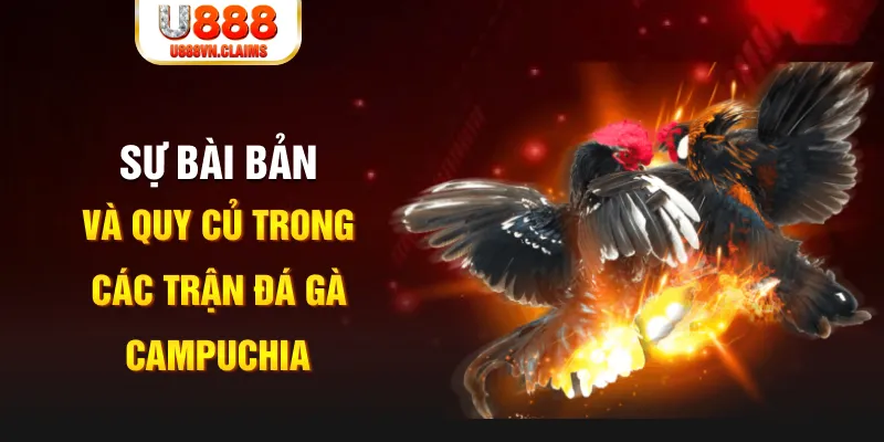 88 online YGR Điện Tử