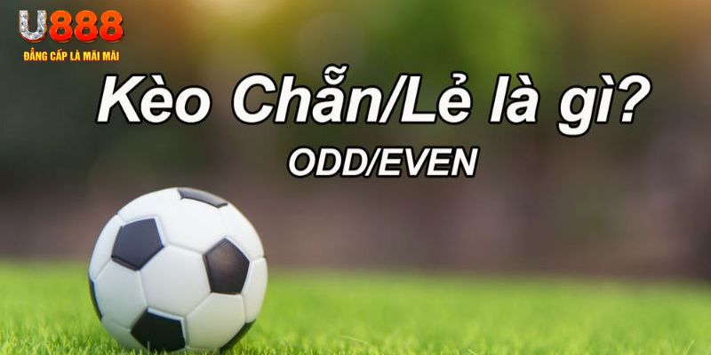 88 online đăng nhập poker hôm nay