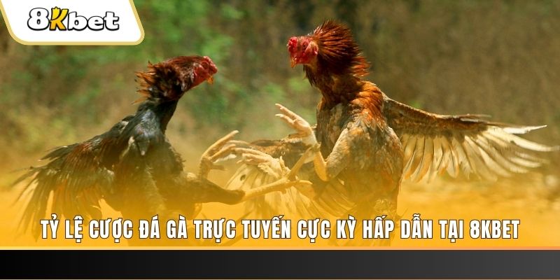 88 online xổ số trực tiếp miền bắc