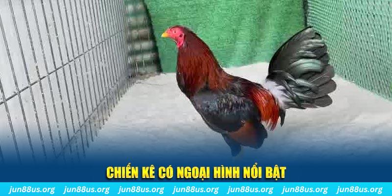 88 online chạy quảng cáo cho game bài bị phạt như thế nào