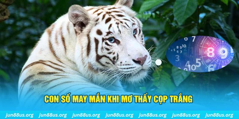 88 online đá gà trực tiếp 88